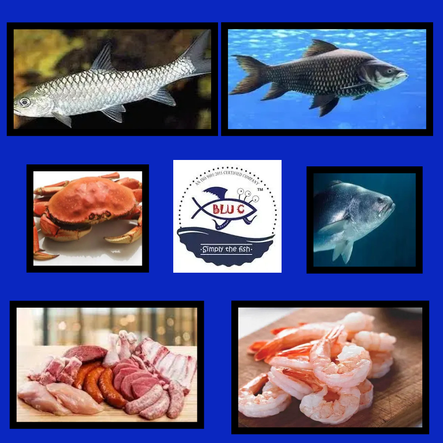 Blue Sea Trading - Best Fish...